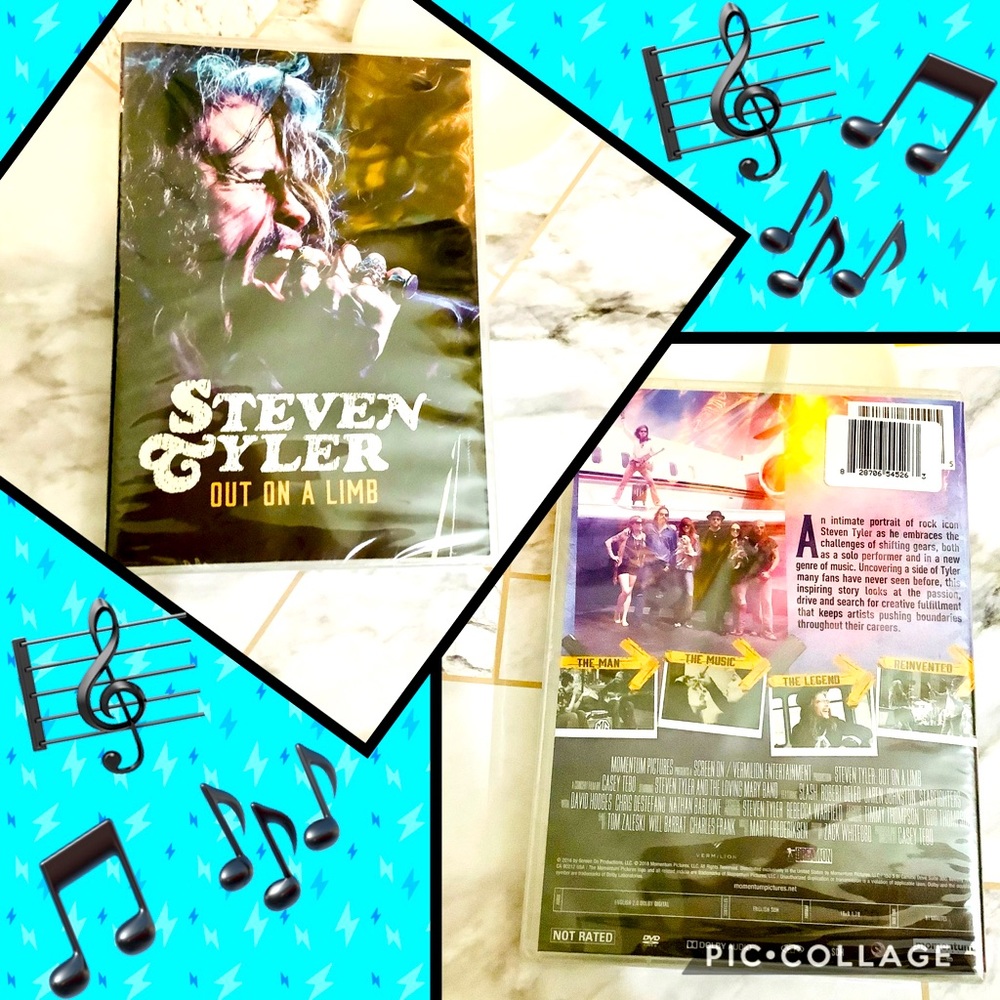 🎵5/$15 NEW✨Intimate Portrait Steven Tyler